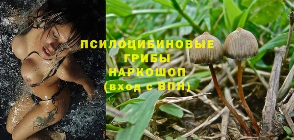мяу мяу мука Краснотурьинск