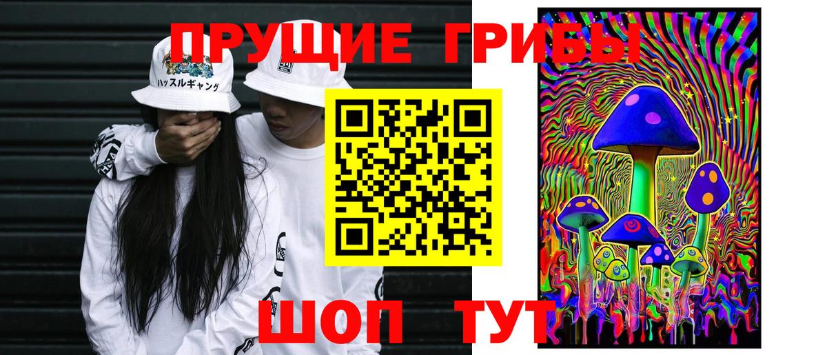 Галлюциногенные грибы ЛСД Саранск